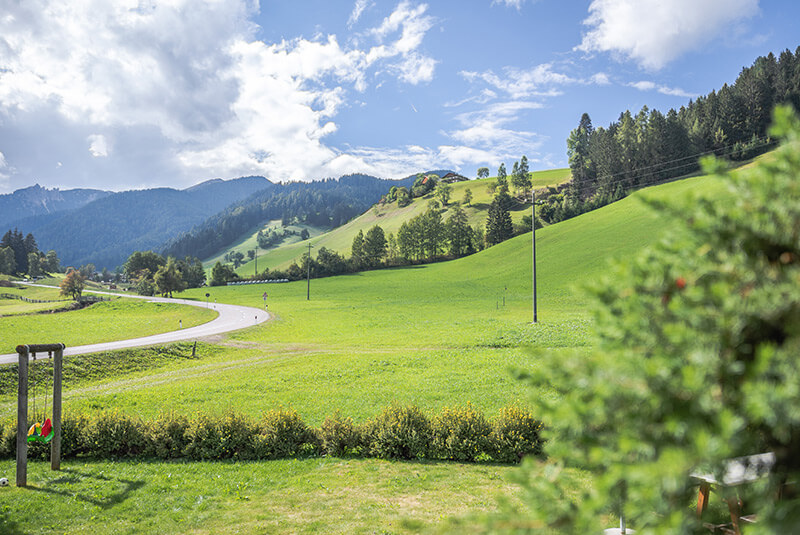 Prato verde con una strada e un'altalena in primo piano - Waidacherhof